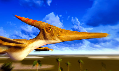 Image showing Flying pterodactyl