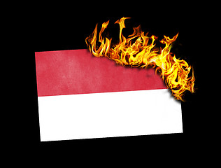 Image showing Flag burning - Indonesia