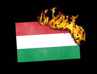 Image showing Flag burning - Hungary