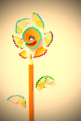 Image showing pencil flower on white