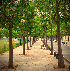 Image showing walking alley with bench in a small town