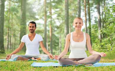 Image showing smiling couple making yoga exercises outdoors