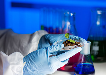 Image showing close up of scientist hands with plant and soil 