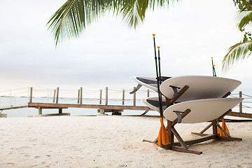 Image showing surfboards on tropical beach