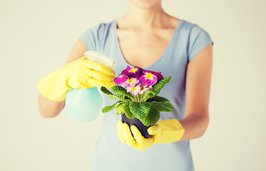 Image showing woman holding pot with flower and spray bottle