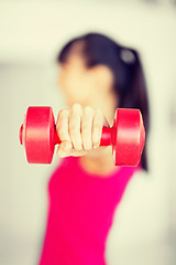 Image showing sporty woman hands with light red dumbbells