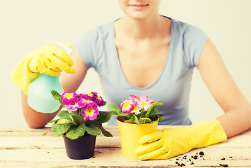 Image showing housewife with flower in pot and spray bottle