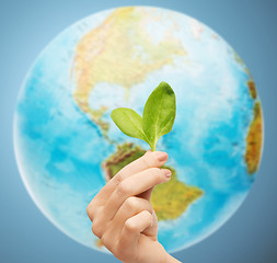 Image showing woman hand with green sprout over earth globe