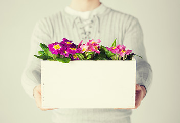 Image showing man holding  big pot with flowers