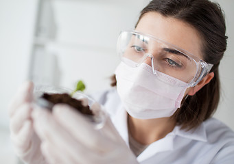 Image showing close up of scientist with plant and soil in lab