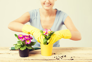 Image showing housewife with flower in pot and gardening set