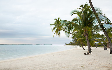 Image showing tropical beach with palm trees