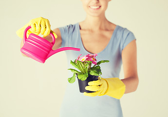 Image showing woman holding pot with flower