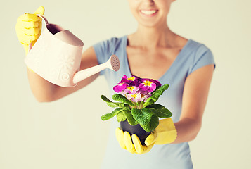 Image showing woman holding pot with flower