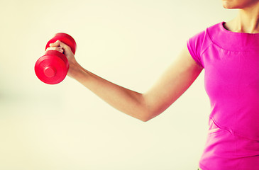 Image showing sporty woman hands with light red dumbbells