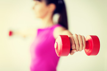 Image showing sporty woman hands with light red dumbbells