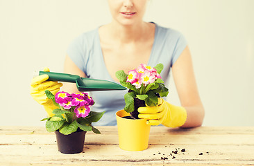 Image showing housewife with flower in pot and gardening set