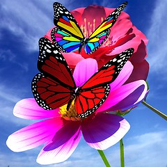 Image showing Beautiful Flower and butterfly against the sky 