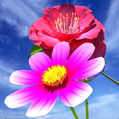 Image showing Beautiful Flower against the sky 