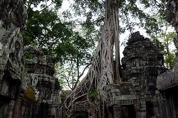 Image showing ASIA CAMBODIA ANGKOR TA PROHM