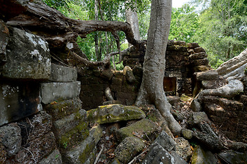 Image showing ASIA CAMBODIA ANGKOR TA PROHM