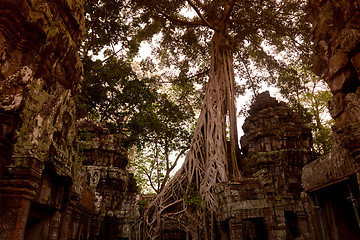 Image showing ASIA CAMBODIA ANGKOR TA PROHM