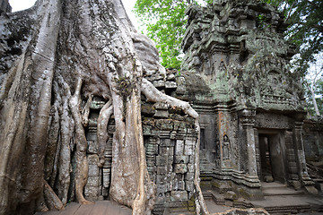 Image showing ASIA CAMBODIA ANGKOR TA PROHM