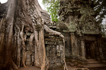 Image showing ASIA CAMBODIA ANGKOR TA PROHM