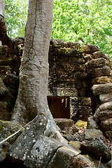 Image showing ASIA CAMBODIA ANGKOR PREAH KHAN