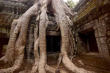 Image showing ASIA CAMBODIA ANGKOR TA PROHM