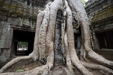 Image showing ASIA CAMBODIA ANGKOR TA PROHM