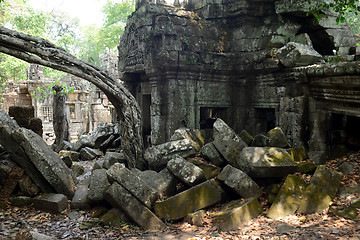 Image showing ASIA CAMBODIA ANGKOR TA PROHM