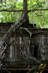 Image showing ASIA CAMBODIA ANGKOR BENG MEALEA