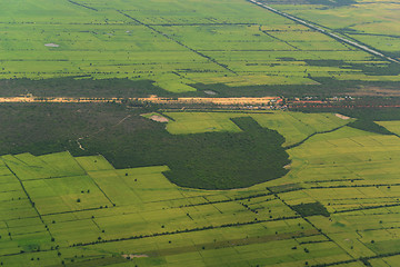 Image showing ASIA CAMBODIA SIEM RIEP TONLE SAP