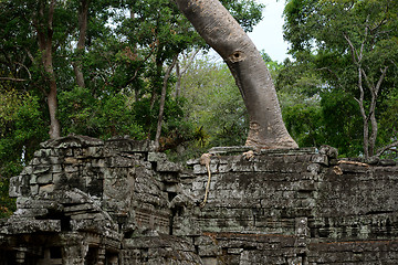 Image showing ASIA CAMBODIA ANGKOR PREAH KHAN