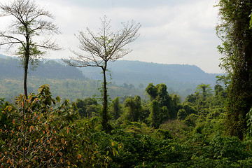 Image showing ASIA CAMBODIA ANGKOR KBAL SPEAN