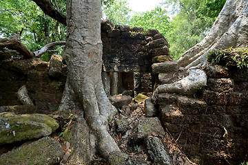 Image showing ASIA CAMBODIA ANGKOR TA PROHM