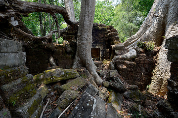 Image showing ASIA CAMBODIA ANGKOR TA PROHM