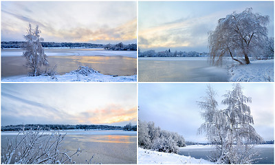 Image showing Collage of winter landscapes with trees in hoarfrost