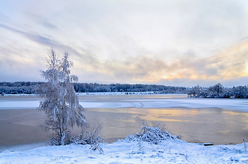 Image showing Winter landscape with lake and trees covered with frost