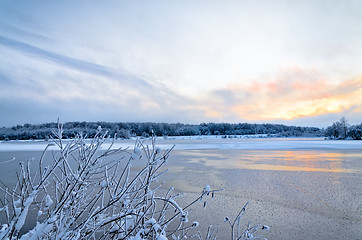 Image showing Winter landscape with lake and trees covered with frost