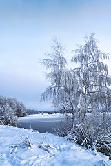 Image showing Winter landscape with trees, covered with hoarfrost and lake 