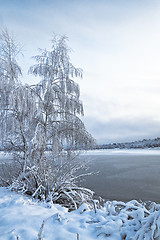 Image showing Winter landscape with trees, covered with hoarfrost and lake 