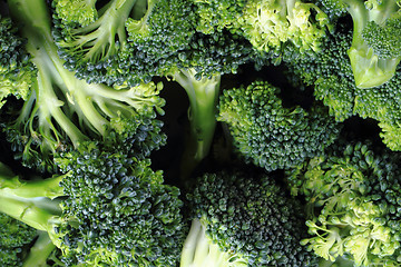 Image showing fresh green broccoli as food background