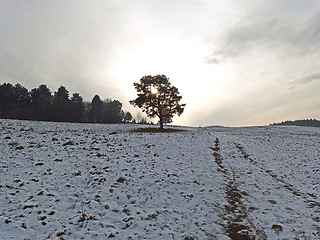 Image showing Winter landscape