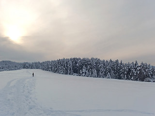 Image showing Winter landscape