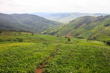 Image showing fields in the mountains