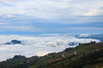 Image showing sea of fog with forests as foreground