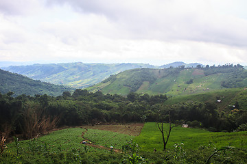 Image showing fields in the mountains