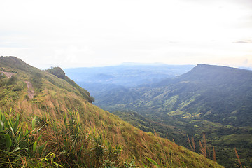 Image showing  green mountains and forest on top veiw